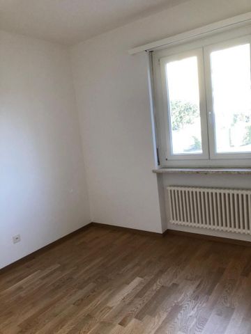 Affittiamo appartamento ampio e ristrutturato, primo mese gratuito - Photo 5