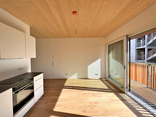 Neubau in Massivholzbauweise - Photo 1