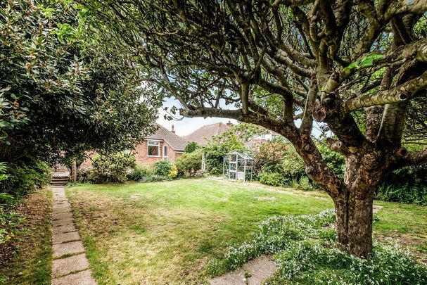 3 bedroom bungalow to rent - Photo 1