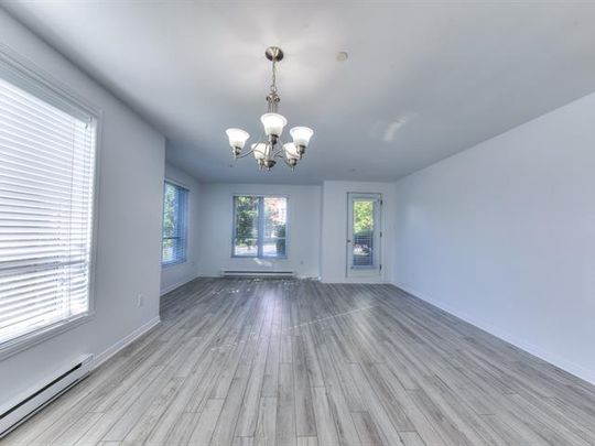 280 Boul. Hymus - Photo 1