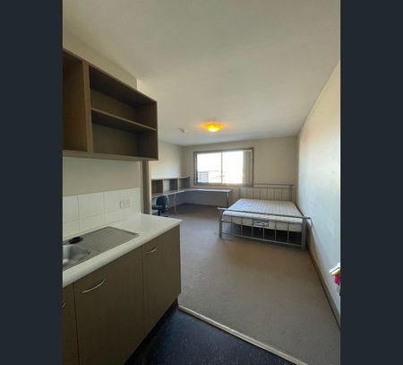 58 Harriet Street, Waratah, NSW 2298 - Photo 4