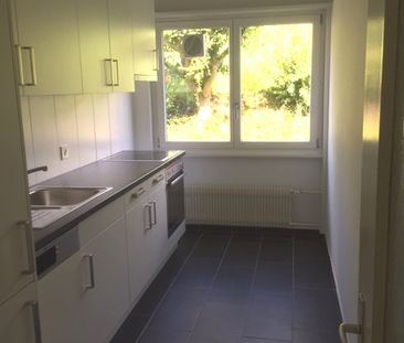 Wunderschöne 3 Zimmer Wohnung zu vermieten - Foto 3