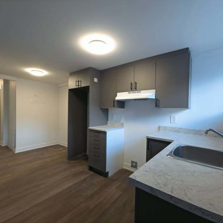 Appart Rénové 4.5 - Photo 1