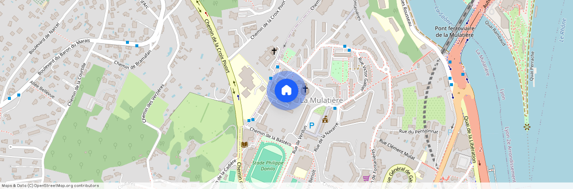 12 AVENUE DELATTRE DE TASSIGNY, LA MULATINE, LA MULATIERE Le Roule