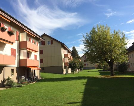 "Dachwohnung in grüner Umgebung" - Photo 4