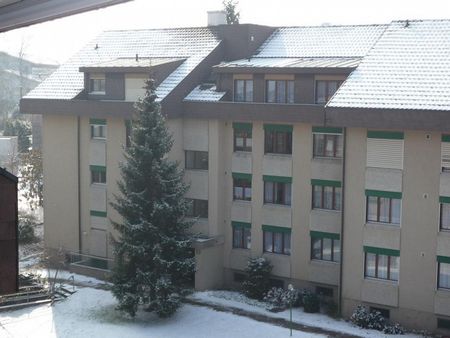 Tolle 3.5-Zimmerwohung im Hochparterre - Photo 5