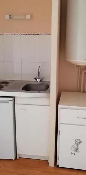 Location Appartement 1 pièce 19m² JOUE LES TOURS 37300 - Photo 1