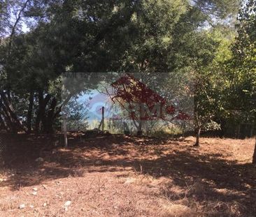 Moradia T5 em Santarém - Photo 1