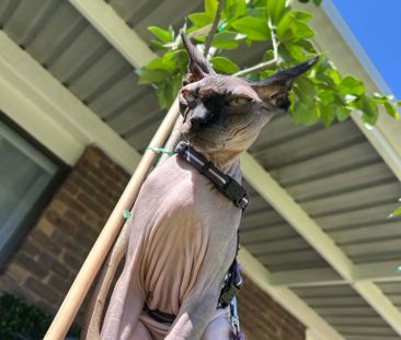Albany Creek - Photo 2