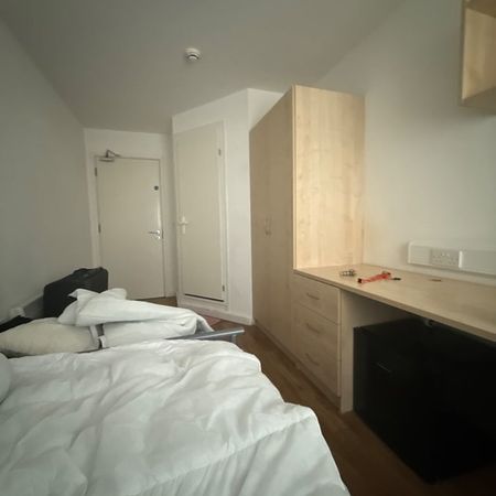 Room in a Shared Flat, Lower Loveday Street, B19 - Photo 3