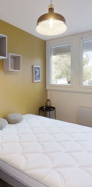 ANTIPOUL Roommate 3 Bedrooms at Toulouse - Photo 1