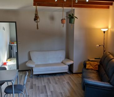 Location Appartement 2 pièces 47m² VILLENEUVE TOLOSANE 31270 - Photo 5