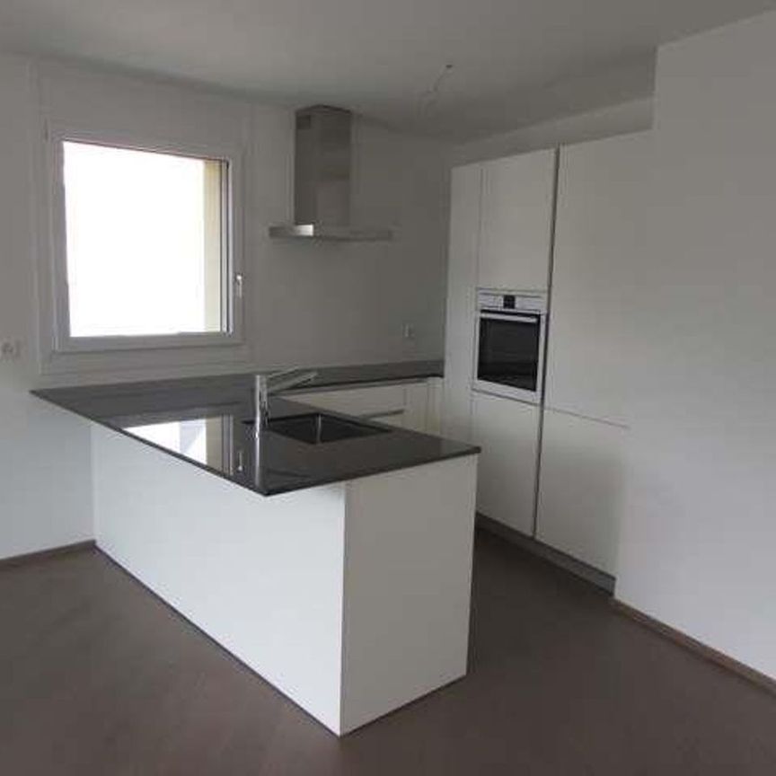 Melide - modern 4.5 room with lake view and roof-top - Photo 1