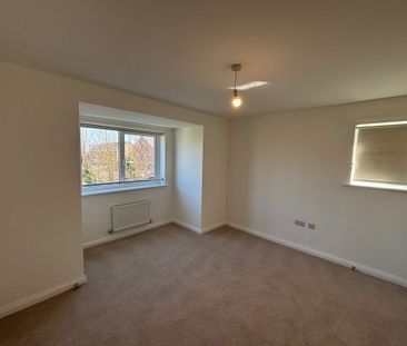 The Steeperton - Photo 4