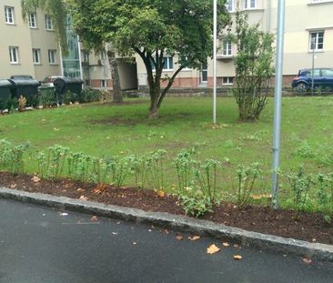 Perfekt aufgeteilte 2-Raum-Wohnung im Erdgeschoß - Foto 1