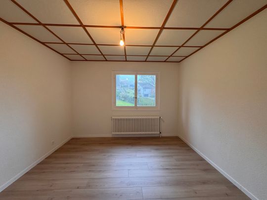 Superb 3.5 room apartment completely renovated in a villa with garden - Photo 1