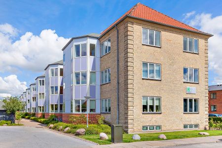 Afd. 4 Lindevang - Photo 3