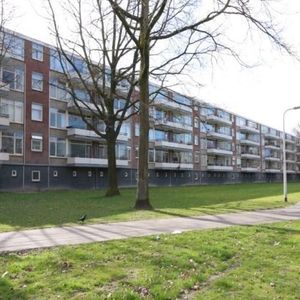 Predikherenlaan, 5042 Tilburg, Nederland - Photo 2