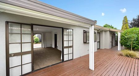 Perfect in Pukete! - Photo 4