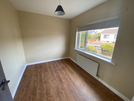 11 Willand Crescent, Fivemiletown, BT75 0QJ - Photo 4