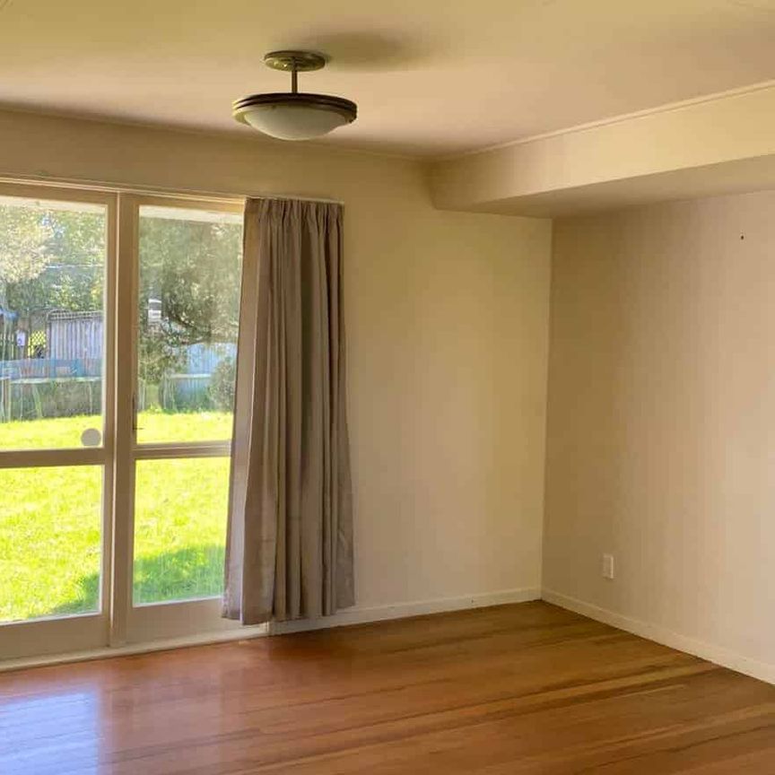 A Little Gem - Photo 1