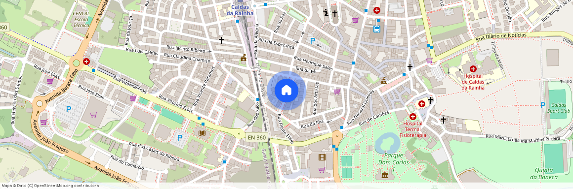 Rua Francisco Sa Carneiro, Leiria