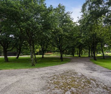 Appartement te huur: Staalmeesterslaan 272 1057 NZ Amsterdam - Photo 2