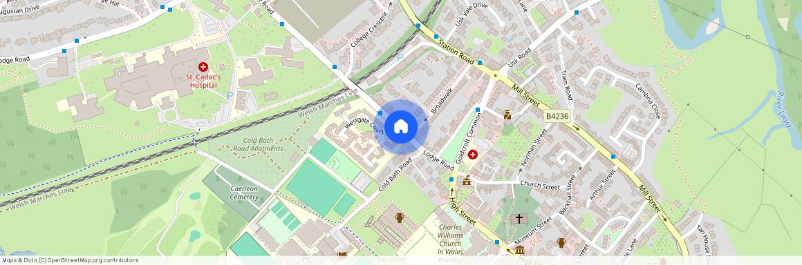 Lodge Road, Newport, NP18