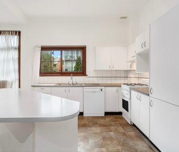 39 Wigram Road, Glebe NSW 2037 - House For Rent | Domain - Photo 5