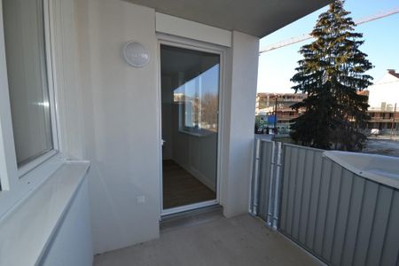 Zentrum/Annenviertel – 40 m² inkl. Loggia – tolle Raumaufteilung – ab 01.02.2025 - Photo 5