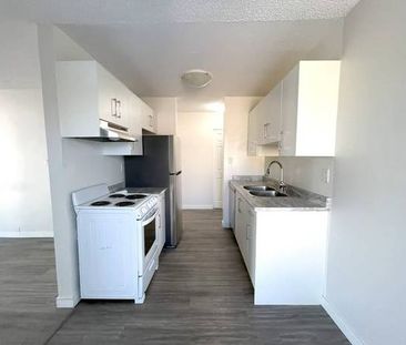 Spacious 2-Bedroom Apartment in Maple Ridge - Photo 4