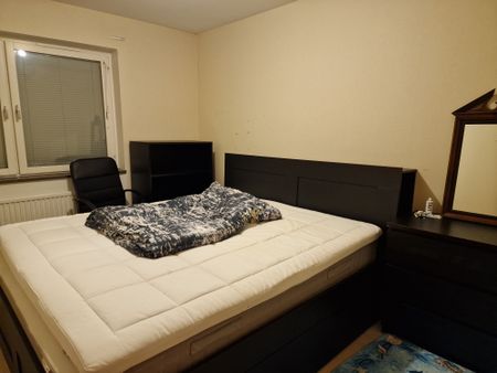 Segevångsgatan, Malmö - Foto 4