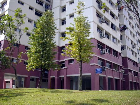 Blk 751 Choa Chu Kang North 5 (Choa Chu Kang), HDB 4 Rooms - For Rent - Photo 3