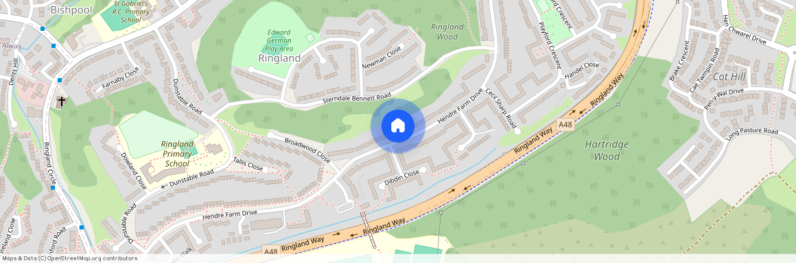 Hendre Farm Drive, NP19