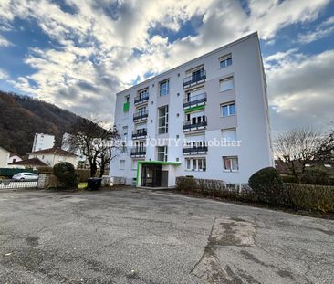 Location Appartement 3 pièces 43m² DOMENE 38420 - Photo 3