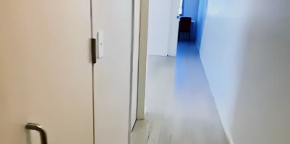 113 Portman St, Sydney - Photo 3