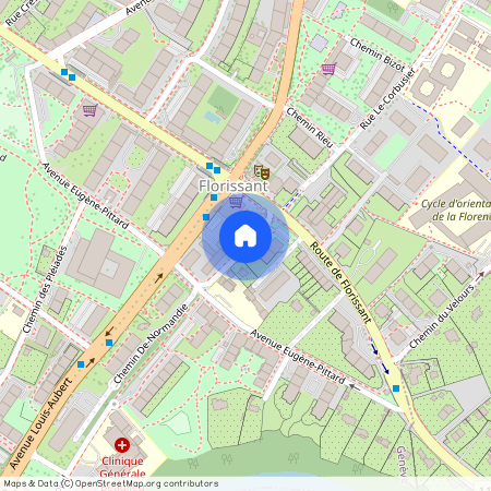 Rue Giovanni-Gambini, 1206 Genève