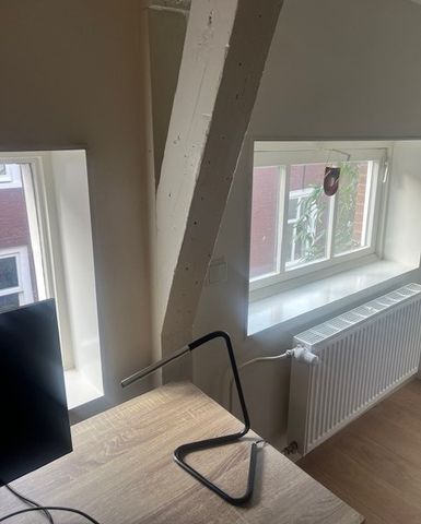 Te huur: modern appartement in hartje Den Haag - Photo 3