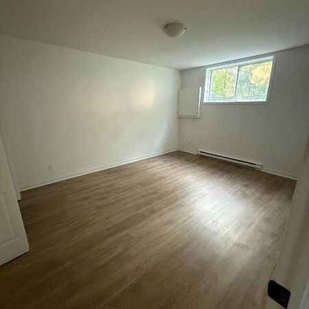 Logement complètement rénové 3 1/2 - Photo 3