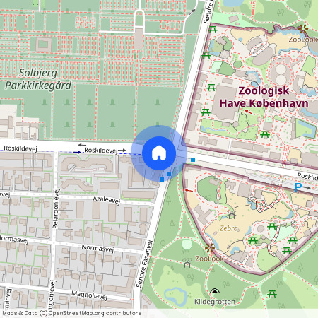 Frederiksberg, Roskildevej 29, 1. tv.