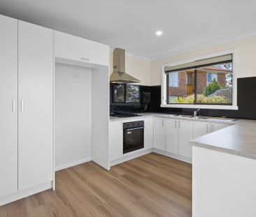 Renovated 2 Bedroom Unit - Photo 6