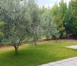 Μονοκατοικία για ενοικίαση - Άγιος Στέφανος - Photo 6
