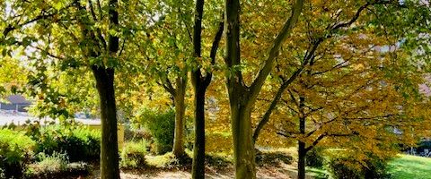 Jetzt schnell sein! Wundervolle 2-Zimmer-Wohnung mit Balkon - Foto 1