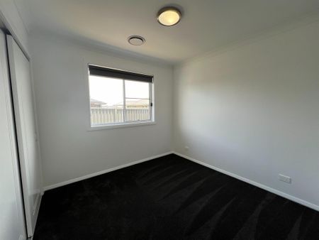 93 Argyle Avenue, Dubbo NSW 2830 - House For Rent | Domain - Photo 4