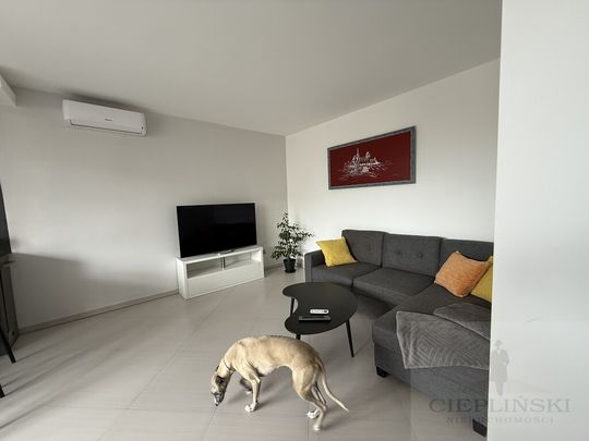 Świętego Ducha, 2 pokoje z pięknym tarasem - Photo 1