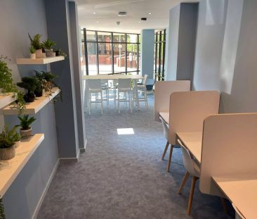 Premium Plus Studio - Photo 3