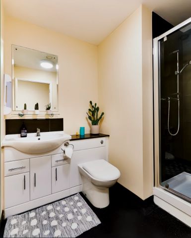 Premium Studio - Photo 5