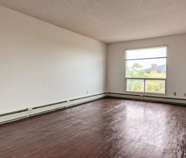 Classic Suite - 1 Bedroom - Photo 4