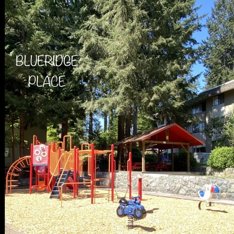 Blueridge Apartments - Photo 1