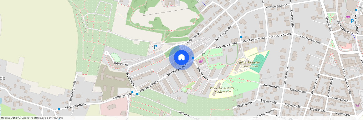 Westbergstraße 50, 08451 Sachsen - Crimmitschau